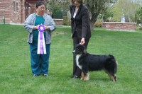 Merimarks Rhinestone Cowgirl