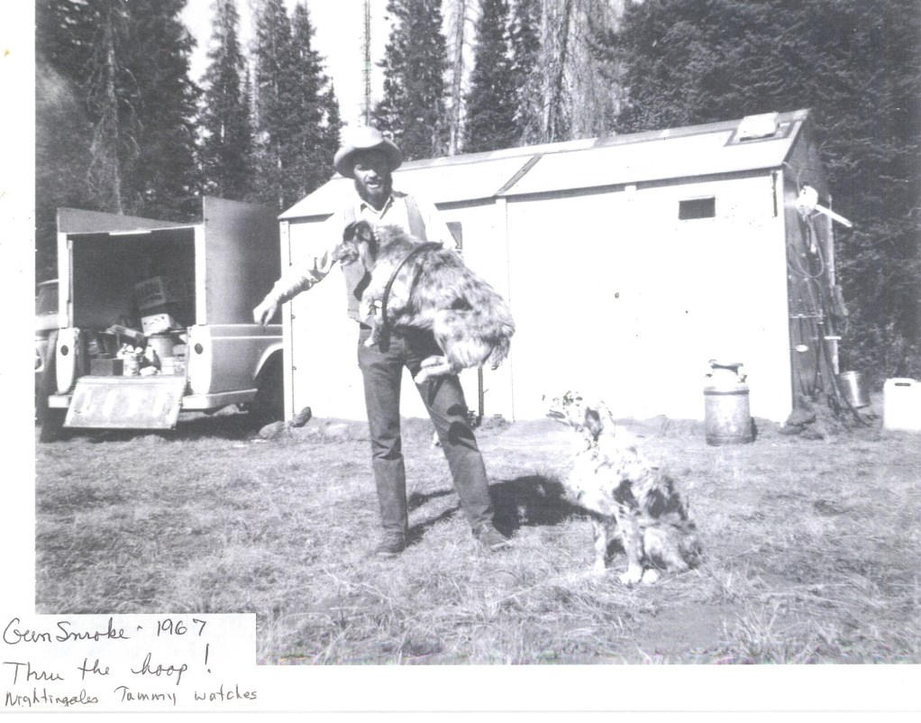 67 Gunsmoke through the Hoop