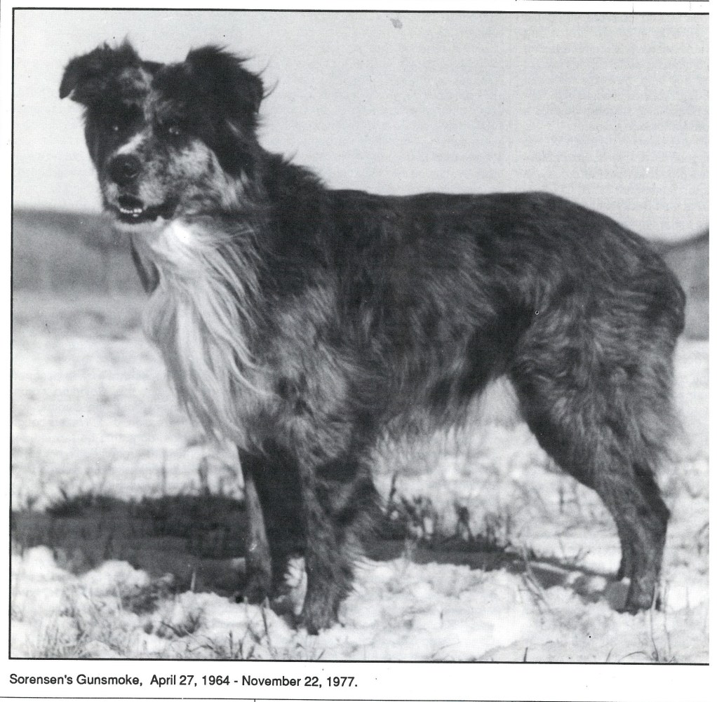 70 Colorados Gunsmoke