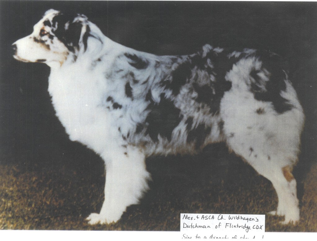 70 Dutchman of Flintridge