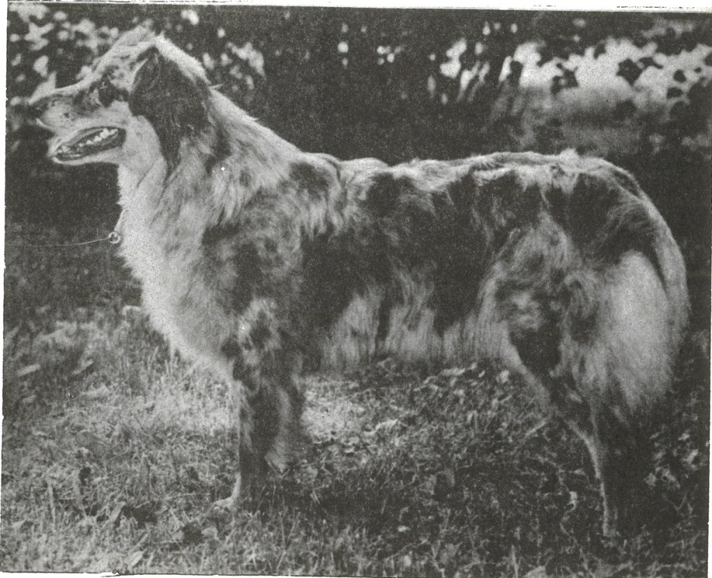 79 Colorado_s Sizzlin Sioux