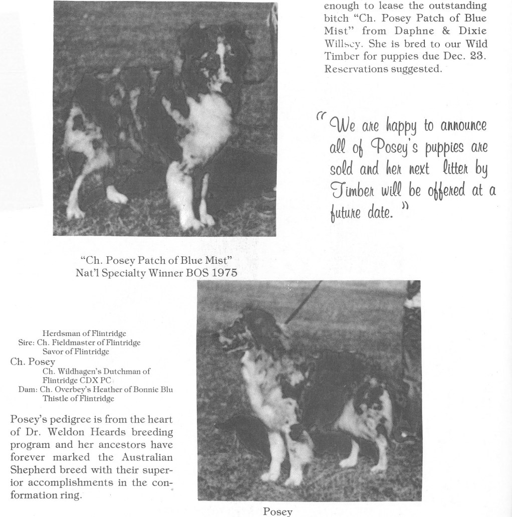 81 Posey Patch of Blue Mist