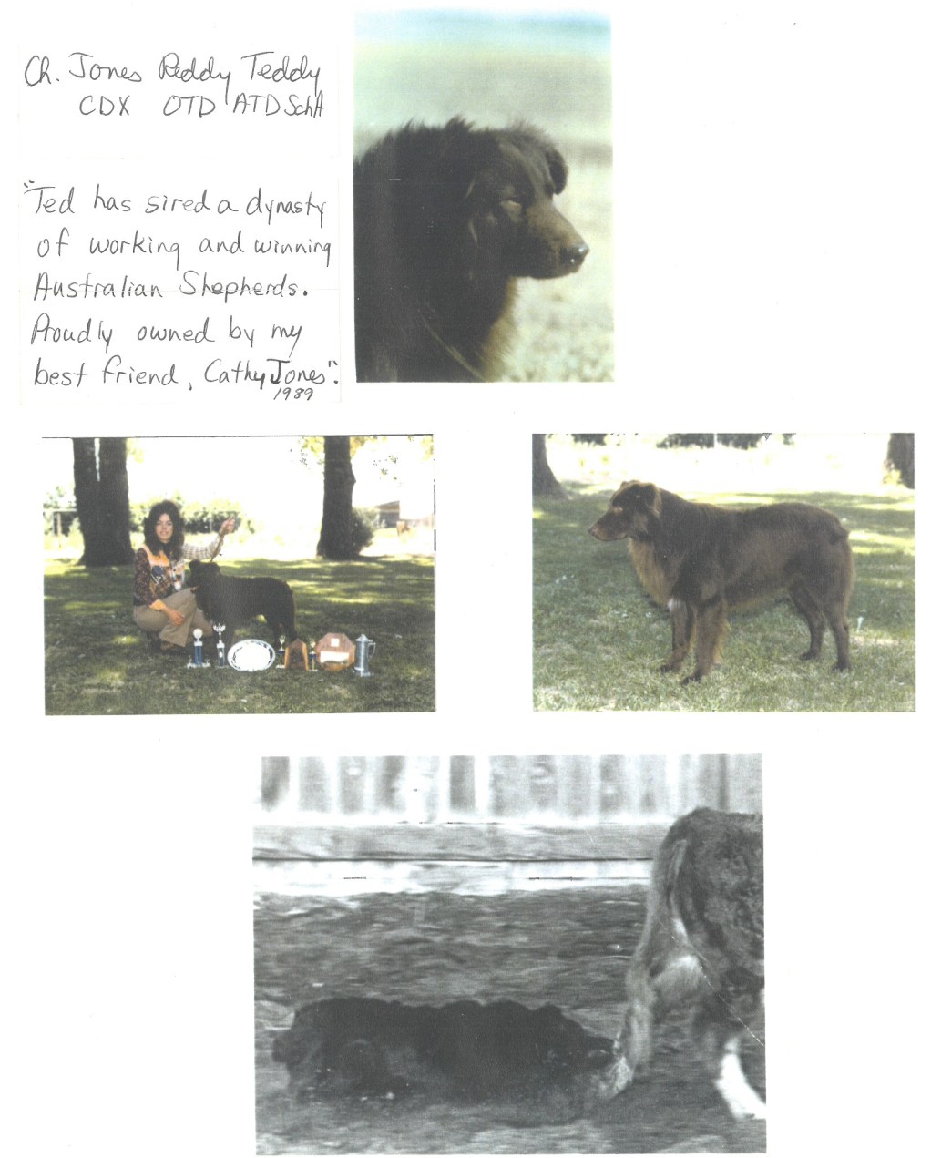 89 Jones Reddy Teddy