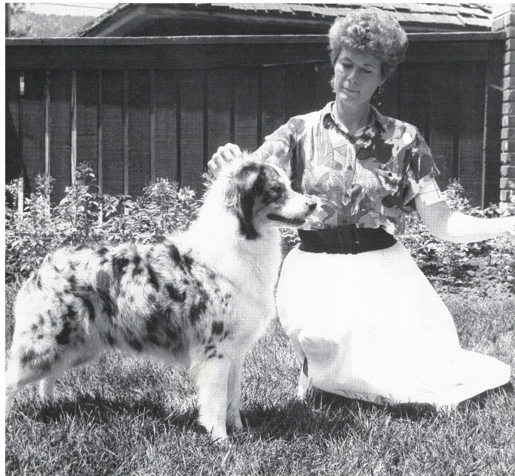 93 Colorados Gold Digger