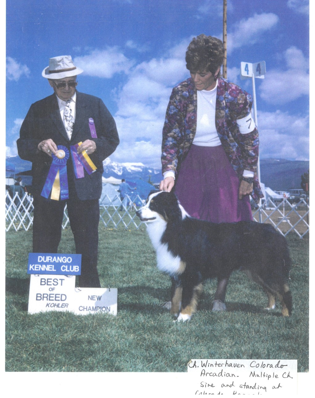 93 Winterhavens Colorado Arcadian