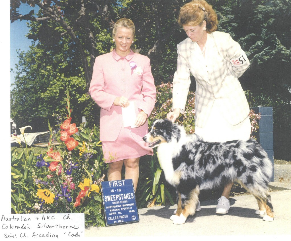 95 Colorados Silverthorne