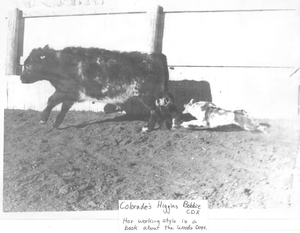 Colorados Higgins Bobbie