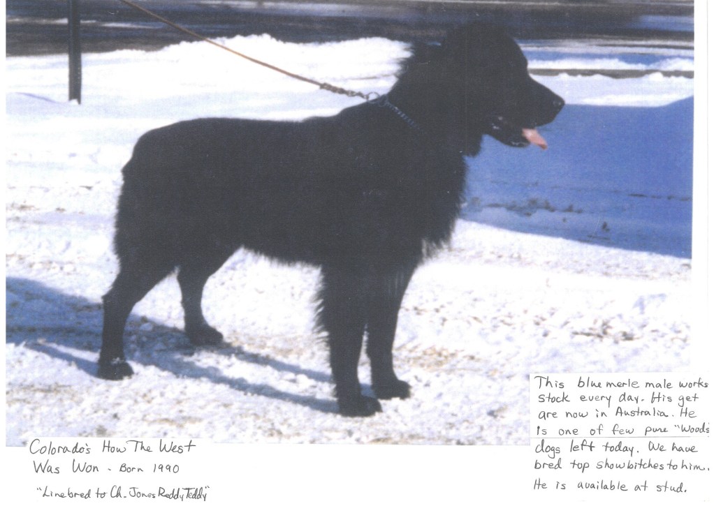 Colorados How the West was Won