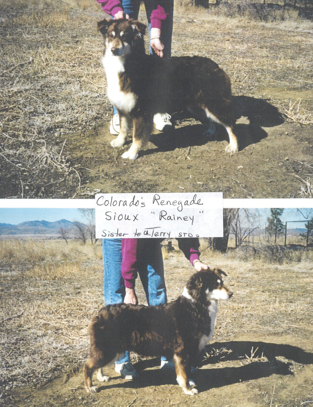 Colorados Renegade Sioux