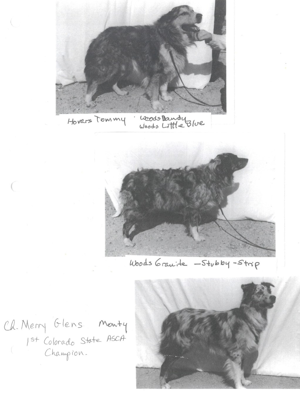 Merry Glens Monte _ others