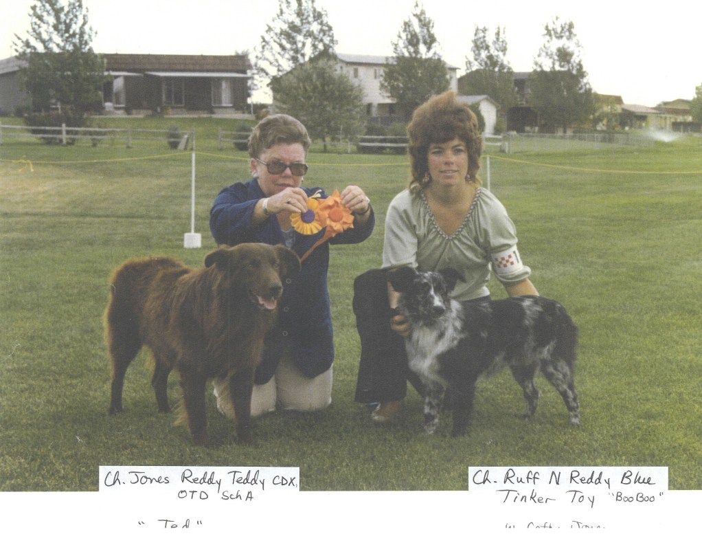 Reddy Teddy _ Ruff N Ready