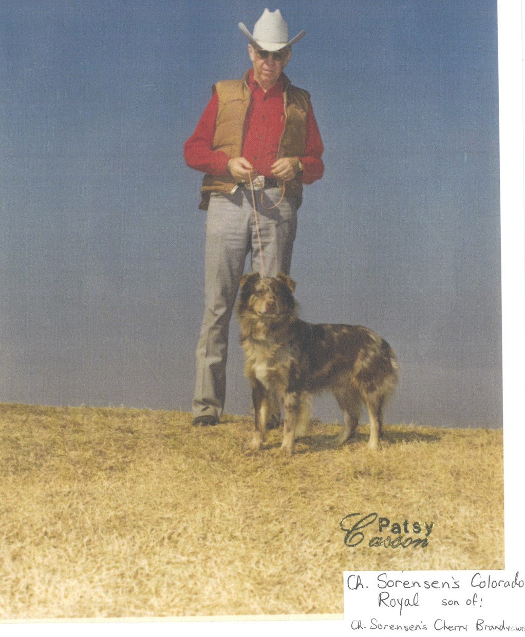 Sorensens Colorado Royal