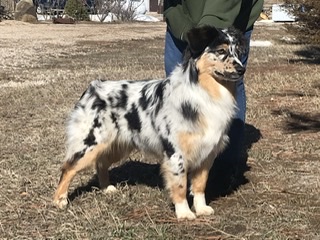 515A91C7-7743-42BE-BFE9-469E9B6005D7