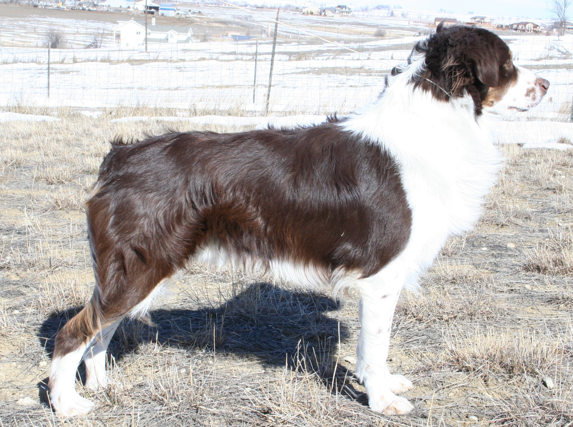 80EA1D17-D165-474E-AB5E-A01DAB50A1CF